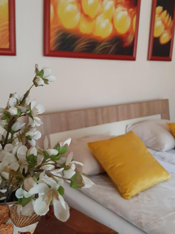 Dr Apartment Novi Sad Exterior photo